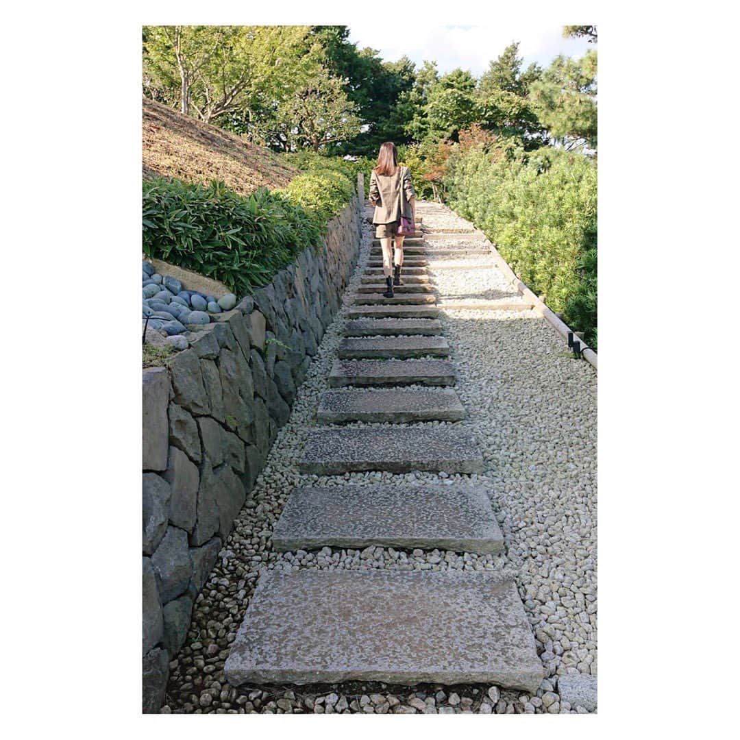 辻祐香さんのインスタグラム写真 - (辻祐香Instagram)「①涼しい顔して死ぬ程びびってる辻 ②どこを切り取っても映え。 ③photo by パノラマに娘をぶっこむハイスペック母。 ④謎に懐く猫さま。」10月29日 14時54分 - kanon_tsuji0819