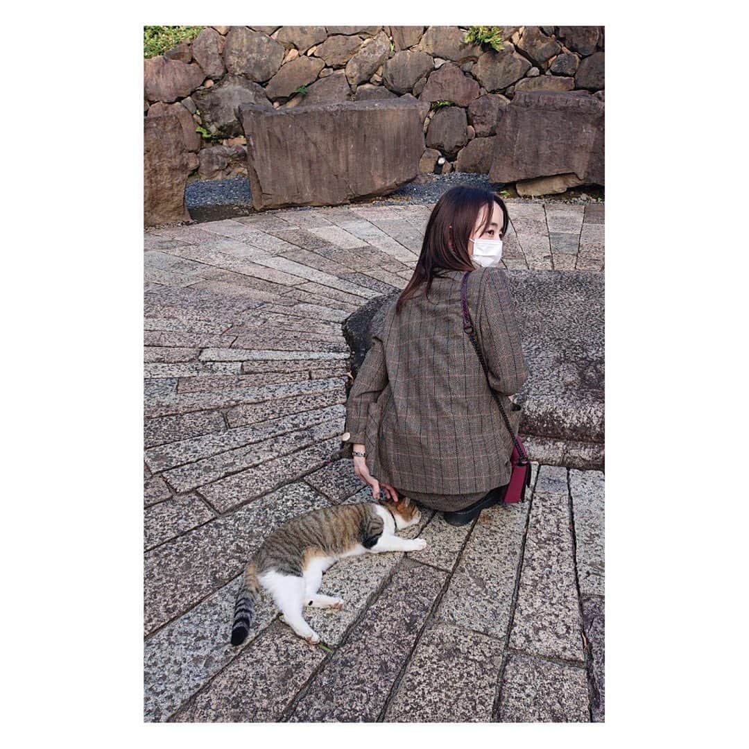 辻祐香さんのインスタグラム写真 - (辻祐香Instagram)「①涼しい顔して死ぬ程びびってる辻 ②どこを切り取っても映え。 ③photo by パノラマに娘をぶっこむハイスペック母。 ④謎に懐く猫さま。」10月29日 14時54分 - kanon_tsuji0819