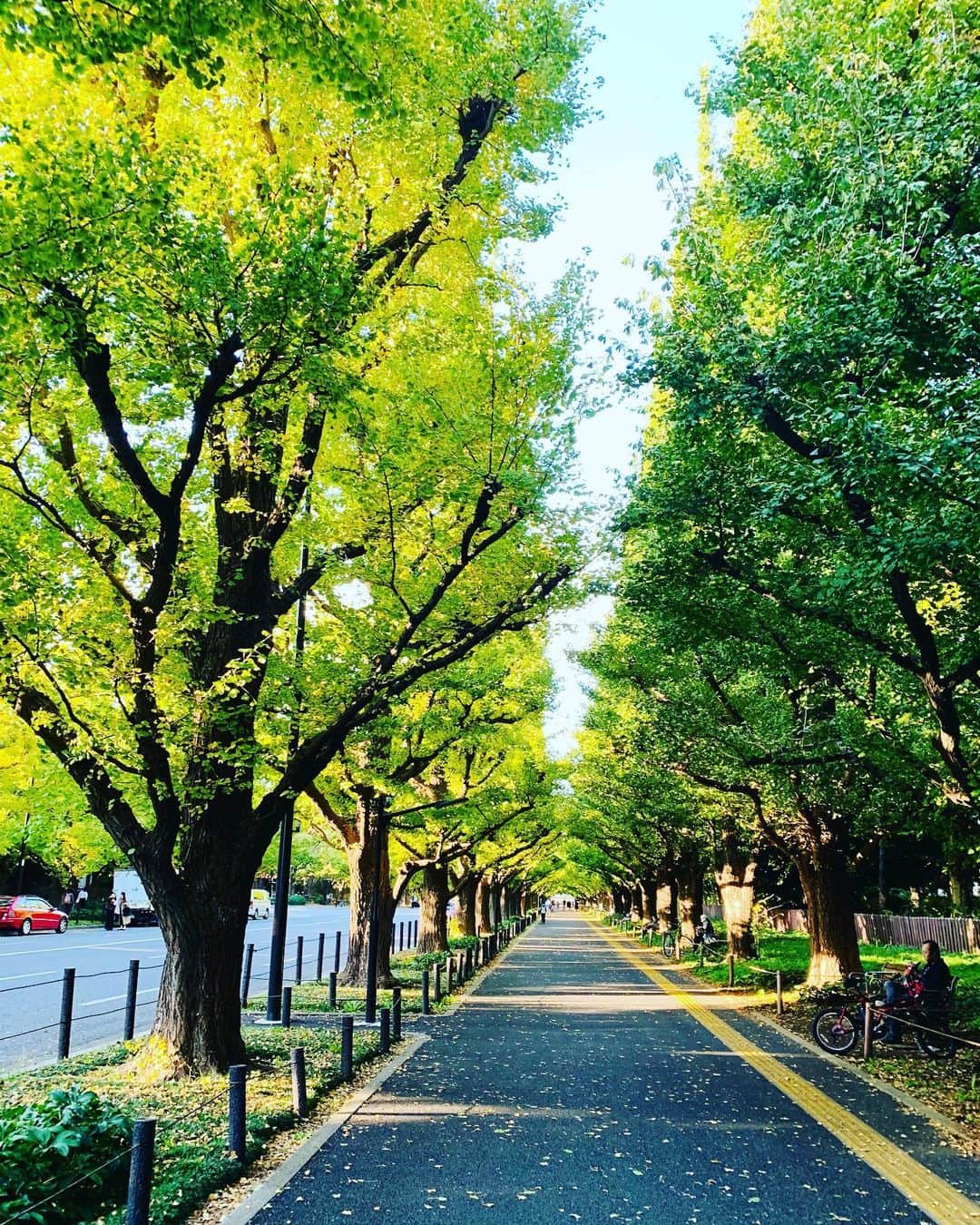 藤沢文翁さんのインスタグラム写真 - (藤沢文翁Instagram)「打ち合わせまで時間があるので　現場までお散歩しながらブラブラと。」10月29日 15時20分 - fujisawabun_o
