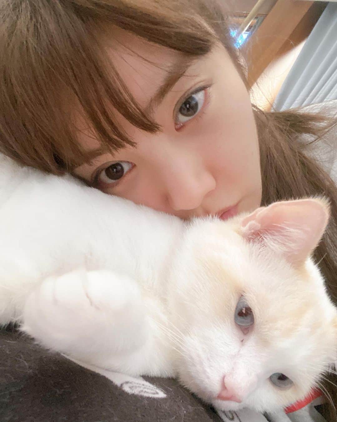 ソン・ダムビのインスタグラム：「나랑 놀자아아아☺️」