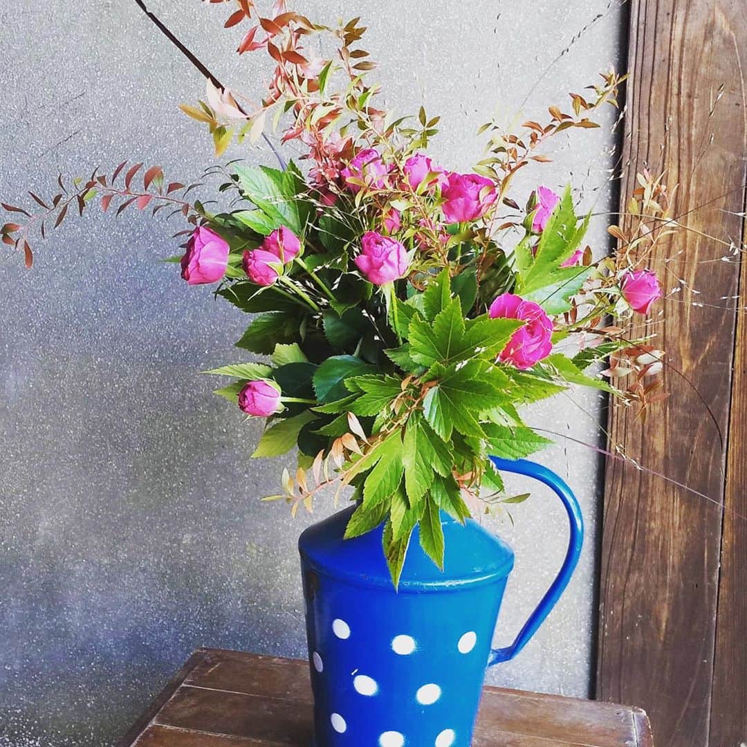 桑原麻美さんのインスタグラム写真 - (桑原麻美Instagram)「今月のパリスタイルブーケ💐﻿ ﻿ 紅葉したユキヤナギで﻿ 秋らしく🍁﻿ ﻿ 花器や場所を変えると、﻿ ずいぶん雰囲気が変わります。﻿ ﻿ ランチタイムも﻿ ブーケと一緒だと、﻿ より美味しく、﻿ 優雅に感じられますね♡﻿ ﻿ ・・・・・・・・・﻿ 濃厚な情報をお伝えしている﻿ メルマガ登録は﻿ プロフィールから♡﻿ @asami_kuwabara﻿ ﻿ #桑原麻美﻿ #アナウンサー﻿ #フリーアナウンサー﻿ #司会者﻿ #話し方講師﻿ #マナー講師﻿ #研修講師﻿ #傾聴コミュニケーション﻿ #インストラクター﻿ #パリスタイルブーケ﻿ #スプレーバラ﻿ #ユキヤナギ﻿ #パニカム﻿ #キイチゴ﻿ #紅葉﻿ ﻿ ﻿ ﻿ ﻿ ﻿ ﻿ 　﻿ ﻿ ﻿ ﻿ ﻿ ﻿ ﻿ ﻿ ﻿ ﻿ ﻿ ﻿ ﻿ ﻿ ﻿ ﻿ ﻿ ﻿ ﻿ ﻿ ﻿ ﻿」10月29日 15時44分 - asami_kuwabara