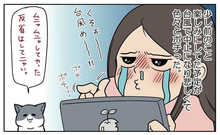 餅付きなこのインスタグラム