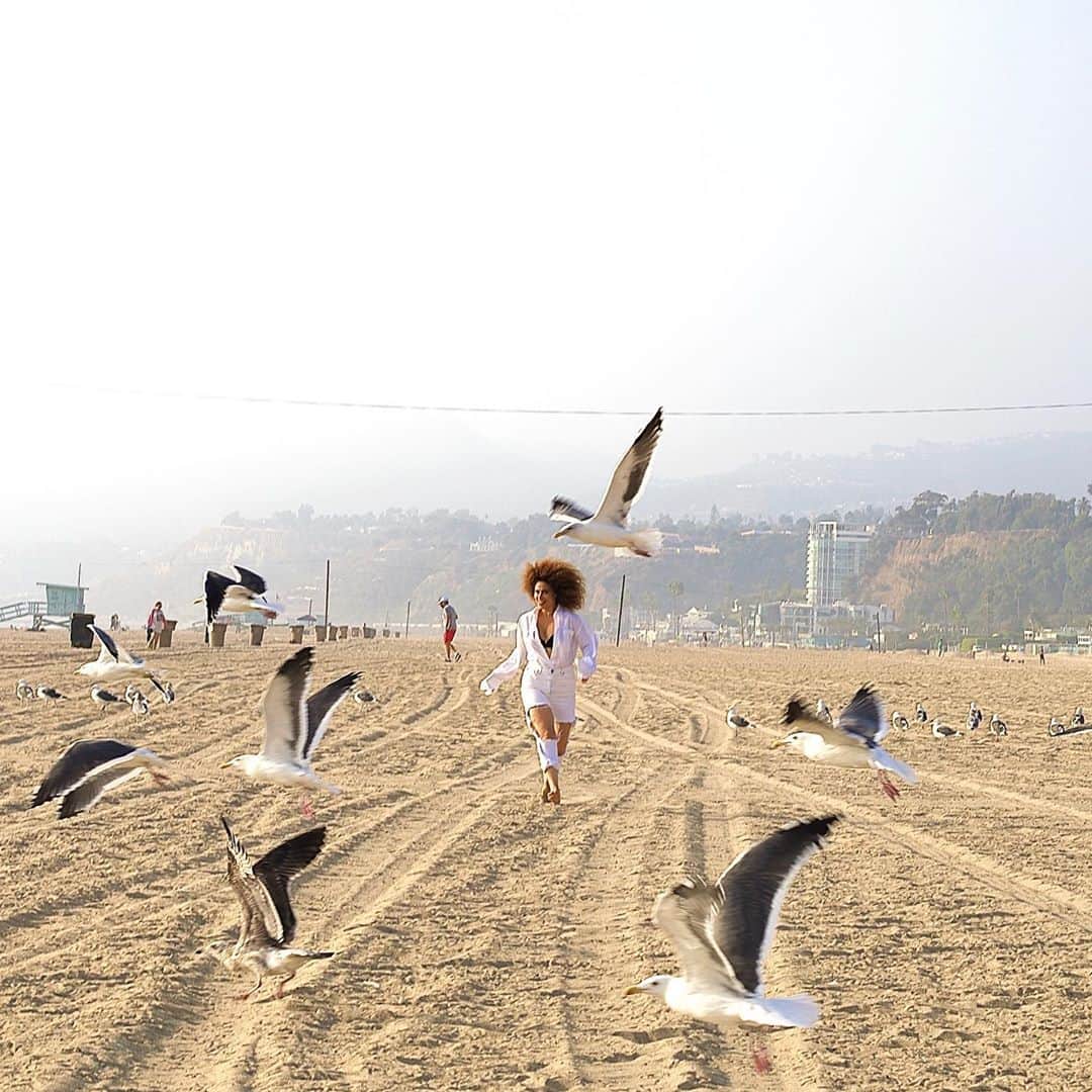 ヤスミン・アル＝マスリーのインスタグラム：「🦅 scorpio time of the year ! I hope you are rising to your spiritual space scorpio friends !! We are not afraid to die because we know how to create life out of destruction and with it #art #passion #life 📸 @divya_jyoti #scorpio」