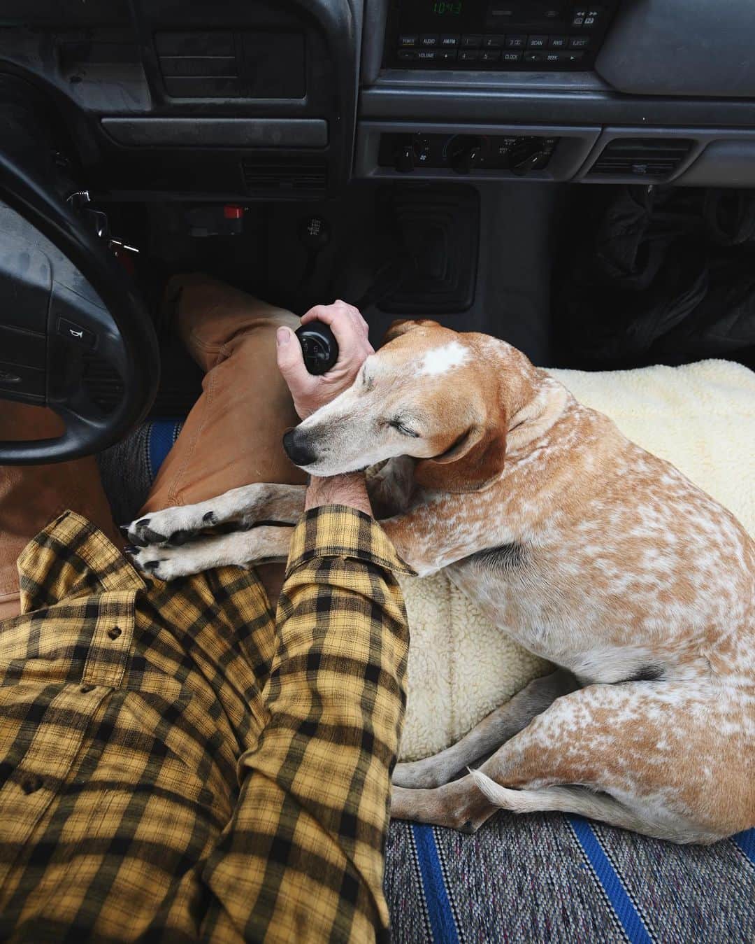 マディのインスタグラム：「Long live the 5 speed ✨⁣ ⁣ (PS don’t worry we stopped to take a call and weren’t moving)」