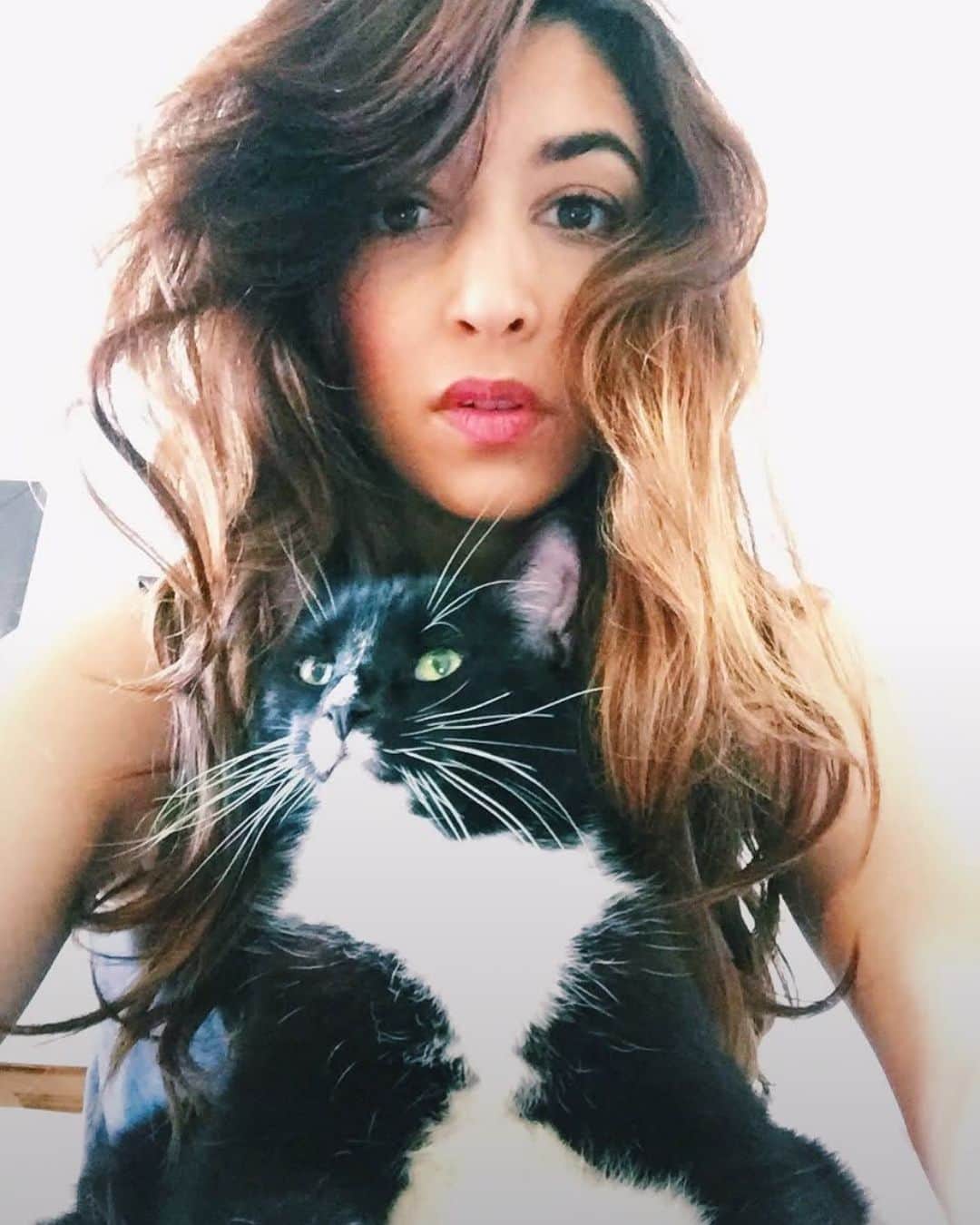 ハンナ・シモンのインスタグラム：「Happy National Cat Day to my true blue geriatric feline loves @havecatzwilltravel. Your tender footed violent nature has kept people socially distancing from me for years and for that I am deeply appreciative. Please tag your beloved creature gram pages below so I can keep my scroll stalking kewt kthxbyeeemeow. 🐶🦋🐞🦉🦆🐷🦊🐨🐸🐠🐕🐓🦧🐇」