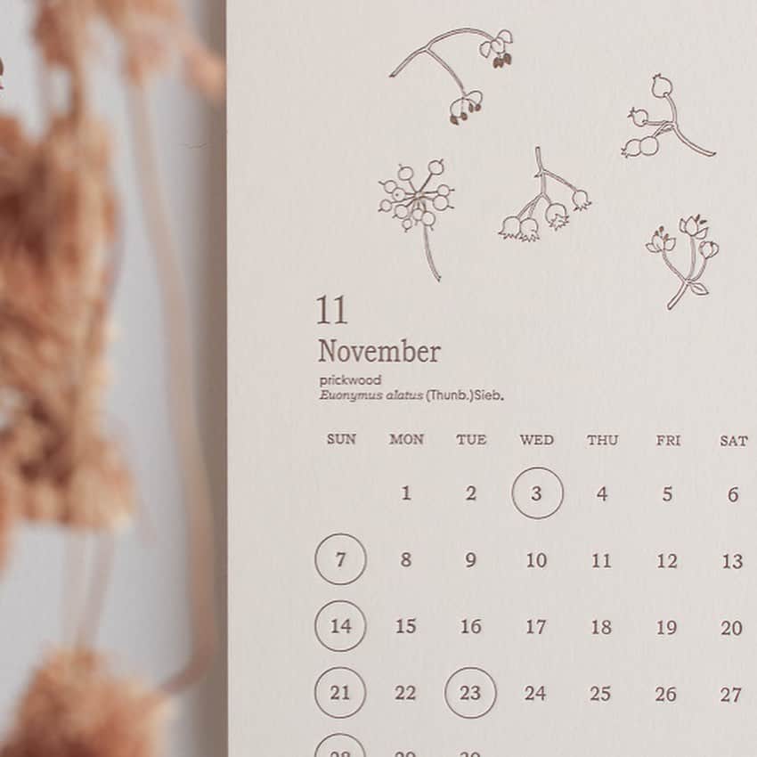 手紙社さんのインスタグラム写真 - (手紙社Instagram)「【2021年カレンダー/ プロペラスタジオ「レタープレスカレンダー」】 神戸を拠点に活動するステーショナリーメーカー・プロペラスタジオ。 中でもHütte paper worksのシリーズは、繊細な草花のイラストレーションでいつも手紙舎の店先を美しく彩ってくれます。  今年のカレンダーは、質感の良い麻紐でまとめられたシンプルな壁掛けタイプ。 季節に合わせて、時に根や球根まで描かれた草花は、ありのままの美しさが魅力的です。 単色で表現された線画は、活版印刷特有の凹凸がしっかりと感じられ、ざらりとした紙の質感も楽しめます。  落ち着いたインテリアがお好みの方や、 華やかな絵はお部屋の雰囲気に合わないかも……という方にぜひご覧いただきたいカレンダーです。 お手元に届いた際には、12枚を束ねたトレーシングペーパーの帯の透け感もぜひお楽しみください。  ありがたいことにたくさんのご注文をいただいており、完売してしまう種類も増えてきておりますので、 気になるものはお早めにご覧いただけると安心かもしれません。 お悩みの方は、まだまだ追加もございますので、引き続きお楽しみいただけましたら幸いです。  ●現在販売のカレンダー ・浅野みどり(cozyca products) ・柿本芳枝 ・KAYO AOYAMA ・日下明(cozyca products) ・Subikiawa. (cozyca products) ・たかはしよしこ ・ニシワキタダシ(サイン入り) ・ノラヤ ・プロペラスタジオ ・repair  ●近日入荷予定のカレンダー ・ATELIER. encle d'encle ・いのうえ彩 ・eric(手紙社) ・砂糖ゆき(手紙社)  ◎商品が気になる方は @tegamisha_onlineshop プロフィールのショップボタンからも商品をご覧いただけますよ  #手紙社 #手紙舎 #tegamisha #手紙社オンラインショップ #オンラインショップ #手紙社オンラインショップで買えます#カレンダー2021  #カレンダー#プロペラスタジオ #Hüttepaperworks #活版印刷 #カレンダー　#活版カレンダー」10月29日 18時19分 - tegamisha