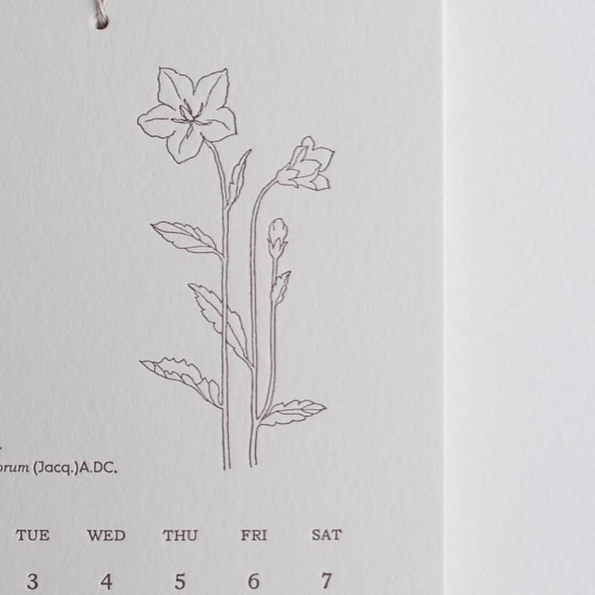 手紙社さんのインスタグラム写真 - (手紙社Instagram)「【2021年カレンダー/ プロペラスタジオ「レタープレスカレンダー」】 神戸を拠点に活動するステーショナリーメーカー・プロペラスタジオ。 中でもHütte paper worksのシリーズは、繊細な草花のイラストレーションでいつも手紙舎の店先を美しく彩ってくれます。  今年のカレンダーは、質感の良い麻紐でまとめられたシンプルな壁掛けタイプ。 季節に合わせて、時に根や球根まで描かれた草花は、ありのままの美しさが魅力的です。 単色で表現された線画は、活版印刷特有の凹凸がしっかりと感じられ、ざらりとした紙の質感も楽しめます。  落ち着いたインテリアがお好みの方や、 華やかな絵はお部屋の雰囲気に合わないかも……という方にぜひご覧いただきたいカレンダーです。 お手元に届いた際には、12枚を束ねたトレーシングペーパーの帯の透け感もぜひお楽しみください。  ありがたいことにたくさんのご注文をいただいており、完売してしまう種類も増えてきておりますので、 気になるものはお早めにご覧いただけると安心かもしれません。 お悩みの方は、まだまだ追加もございますので、引き続きお楽しみいただけましたら幸いです。  ●現在販売のカレンダー ・浅野みどり(cozyca products) ・柿本芳枝 ・KAYO AOYAMA ・日下明(cozyca products) ・Subikiawa. (cozyca products) ・たかはしよしこ ・ニシワキタダシ(サイン入り) ・ノラヤ ・プロペラスタジオ ・repair  ●近日入荷予定のカレンダー ・ATELIER. encle d'encle ・いのうえ彩 ・eric(手紙社) ・砂糖ゆき(手紙社)  ◎商品が気になる方は @tegamisha_onlineshop プロフィールのショップボタンからも商品をご覧いただけますよ  #手紙社 #手紙舎 #tegamisha #手紙社オンラインショップ #オンラインショップ #手紙社オンラインショップで買えます#カレンダー2021  #カレンダー#プロペラスタジオ #Hüttepaperworks #活版印刷 #カレンダー　#活版カレンダー」10月29日 18時19分 - tegamisha