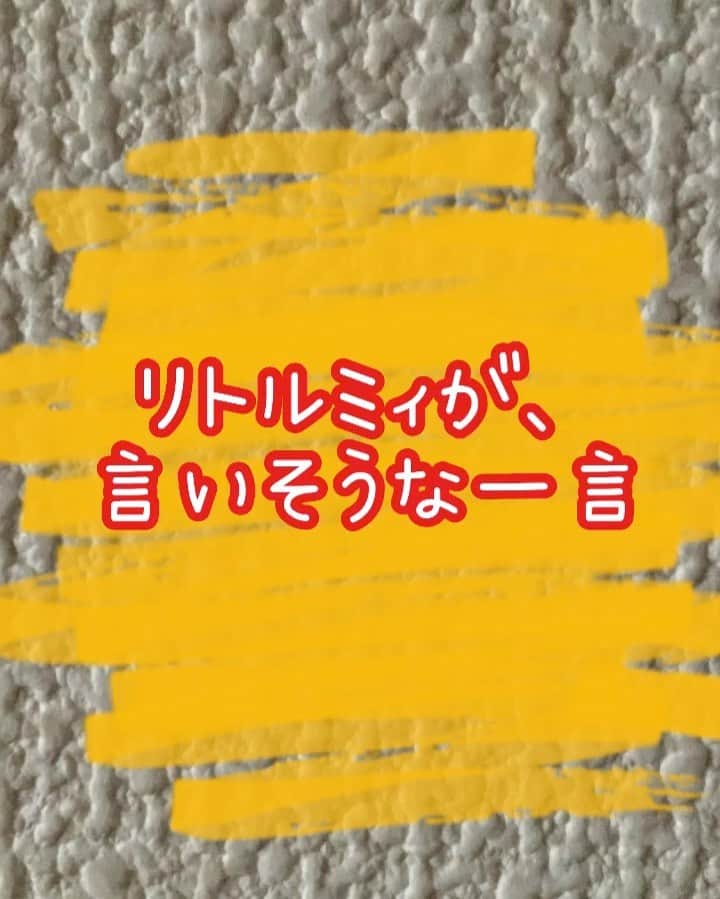 新谷あやかのインスタグラム
