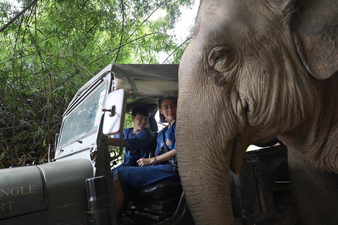 キンバリー・アン・ウォーテマス・ティアムシリのインスタグラム：「Love that exciting trumpet sound 🐘🤍 @gtaef_thailand」