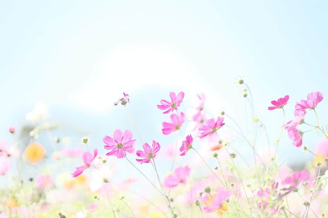 kiccyomuのグルメインスタ