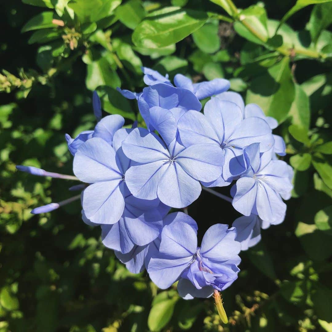 のインスタグラム：「. . 近くに居ればいる程、 居なくなる事なんてないと思ってしまうけど 大切な人には大切って 私にはあなたが必要だって ちゃんと伝えないと。 . .」