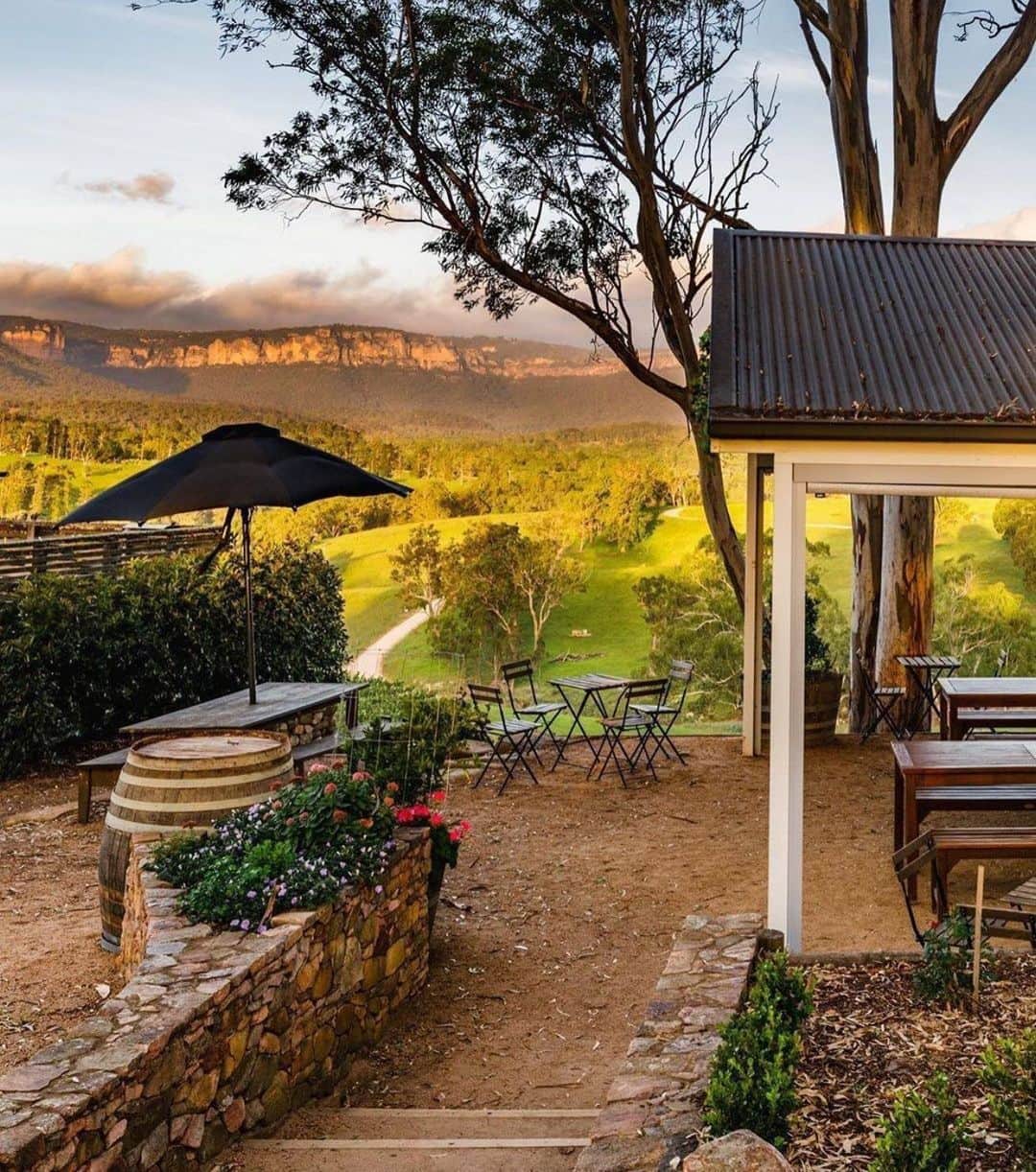 The Horseさんのインスタグラム写真 - (The HorseInstagram)「The perfect lunch spot nestled in the beautiful Megalong Valley, @dryridgeestate 🍷」10月29日 18時53分 - the_horse