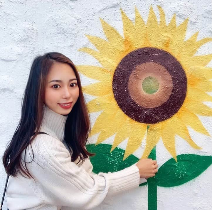 小西陽向さんのインスタグラム写真 - (小西陽向Instagram)「ひまわり🌻 咲く期間が短い分とっても美しいお花🌼☀️ . . . #神戸　#セレッソ大阪応援ナビゲーター　 #関西　#インフルエンサー　#お洒落さんと繋がりたい　#美容　#エステ　#神戸女子 #女子大生 #セレッソ大阪　#セレサポ　#セレ女　#jリーグ　#model 　#スポーツ女子　#空手　#器械体操　#空手女子　#jリーグ　#jリーグ女子　#make #makeup #ootd  #fashion  #伊勢旅行　#伊勢ホテル　#伊勢　#三重県　#志摩地中海村　#ひまわり #サロンモデル」10月29日 18時56分 - hinata713