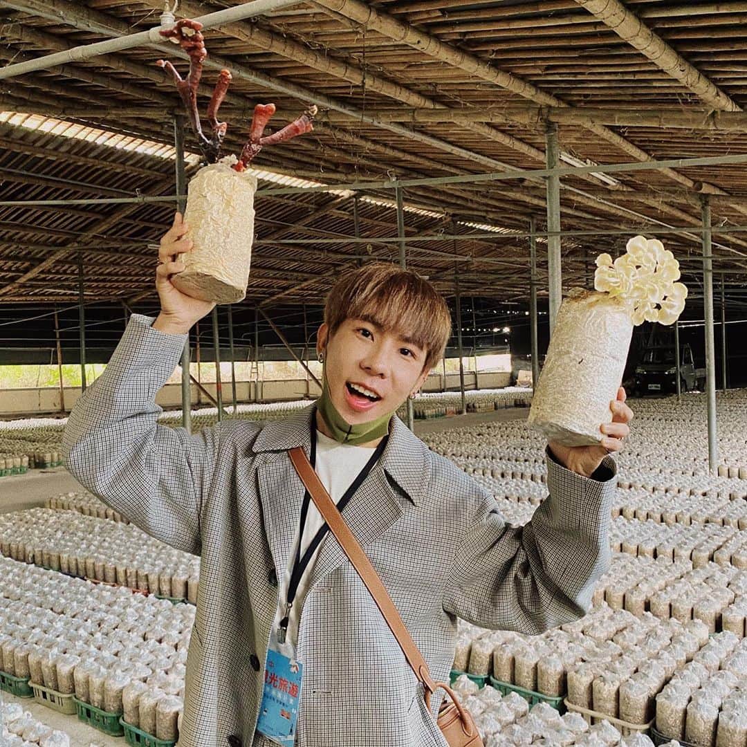 林東進さんのインスタグラム写真 - (林東進Instagram)「愛吃香菇嗎？我有！🍄」10月29日 19時18分 - lingin1209