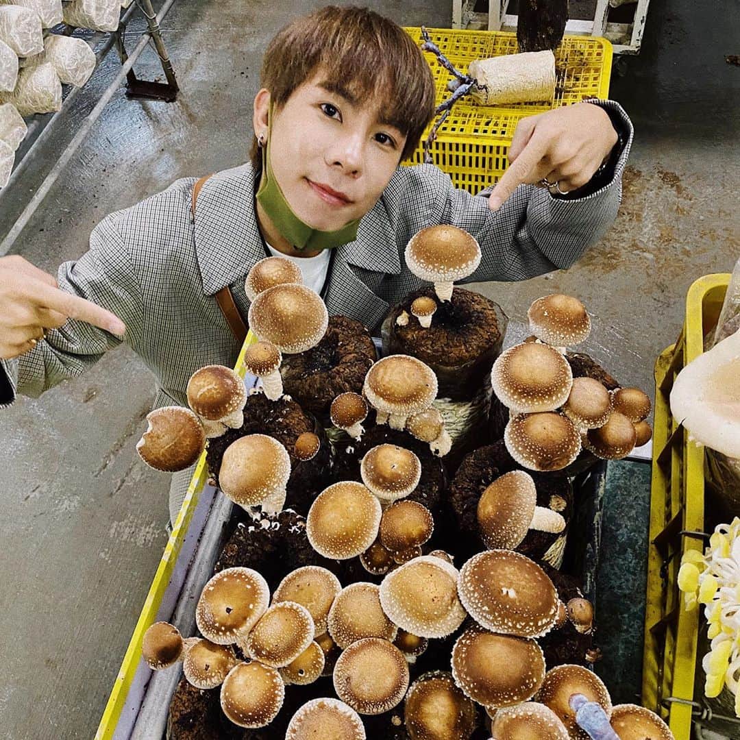 林東進さんのインスタグラム写真 - (林東進Instagram)「愛吃香菇嗎？我有！🍄」10月29日 19時18分 - lingin1209