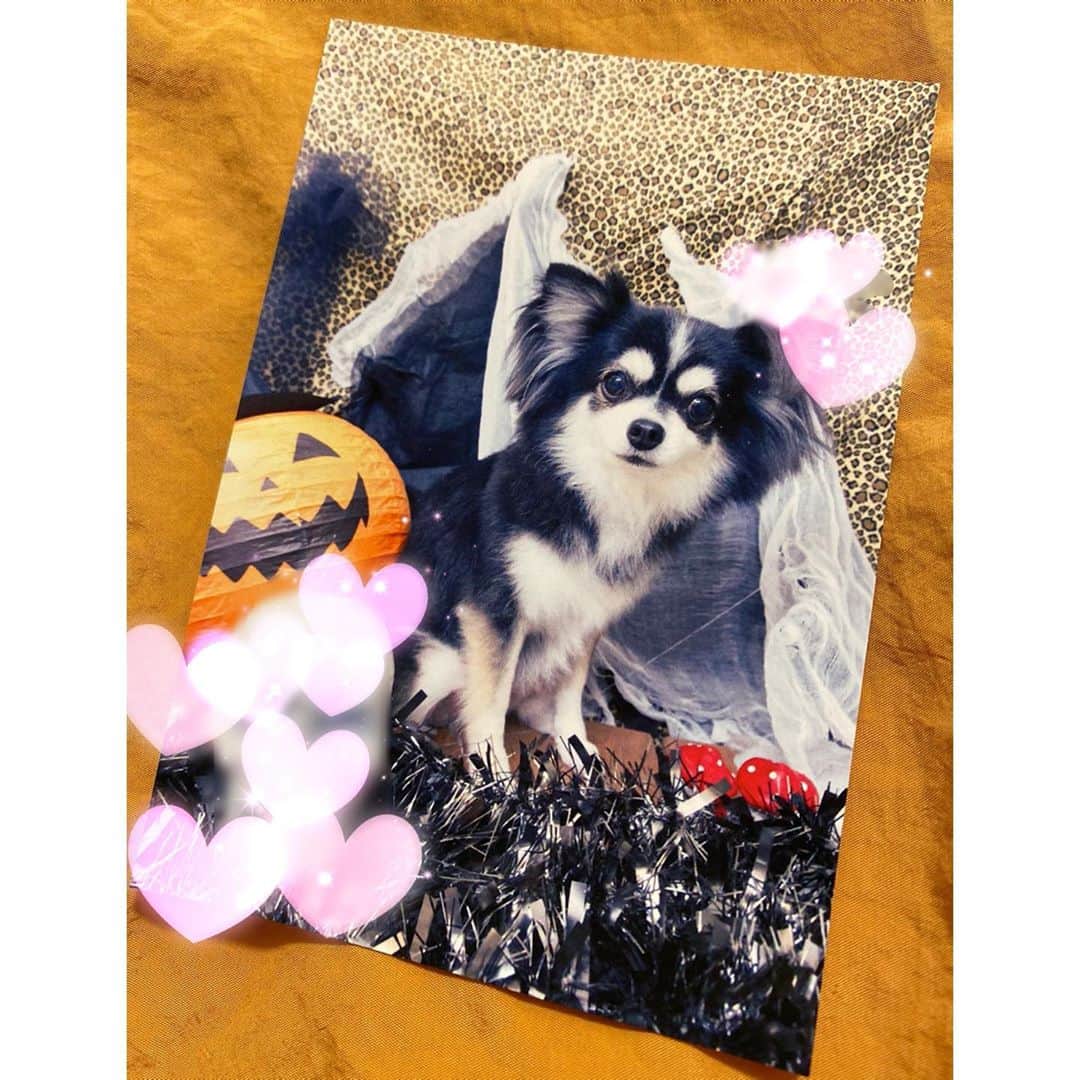 海隼人（有馬佐織）のインスタグラム