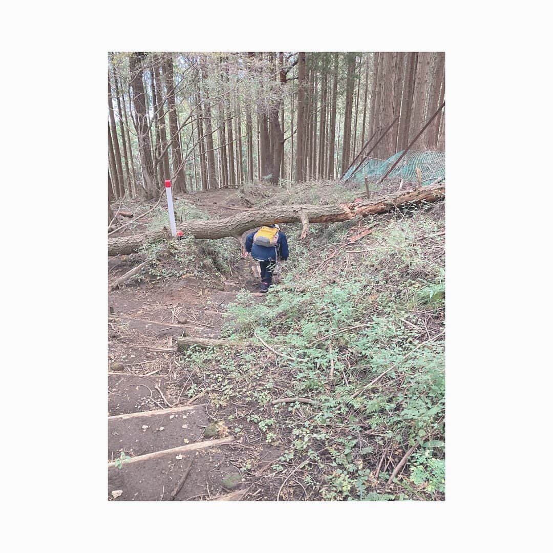 fumikaさんのインスタグラム写真 - (fumikaInstagram)「⛰⛰⛰﻿ ﻿ #神奈川県 #二ノ塔 #三ノ塔﻿ #富士山こんにちわ #思い出 ﻿ #良いサイズの木棒みつけて﻿ #トレッキングストックの代用﻿ #Climbing #YAMAP #便利﻿」10月29日 20時06分 - fumikasingasong