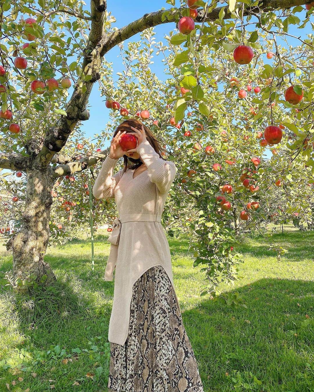 YUKIKOさんのインスタグラム写真 - (YUKIKOInstagram)「. 長野にて🍎 りんご狩りもできて、BBQもできるところへ 行ってきたよー🍖 📍フルーツガーデン北沢 . さんさん黒豚美味しかったし りんごはとっても甘かった😻✨ 今の時期は2種類のりんごを食べ比べ出来たよ💗 シナノゴールド🍏とシナノクイーン🍎 クイーン派だった🤤 . この日のコーデは ピンクのニット🧶 イレヘムデザインやでプリーツスカートと あわせてみた💟 ニットは @fifth_store ✨ スカートは去年買ったshoplist🥳 日差し暖かくてニット一枚で大丈夫やった💕 . #コーデ #長野 #長野旅行 #りんご狩り #BBQ #フルーツガーデン北沢 #ワンピースコーデ #フィフス #Vネックイレヘムニットワンピース #code #coordinate #fifth #fifthtl #applepicking」10月29日 20時09分 - 128yukinco