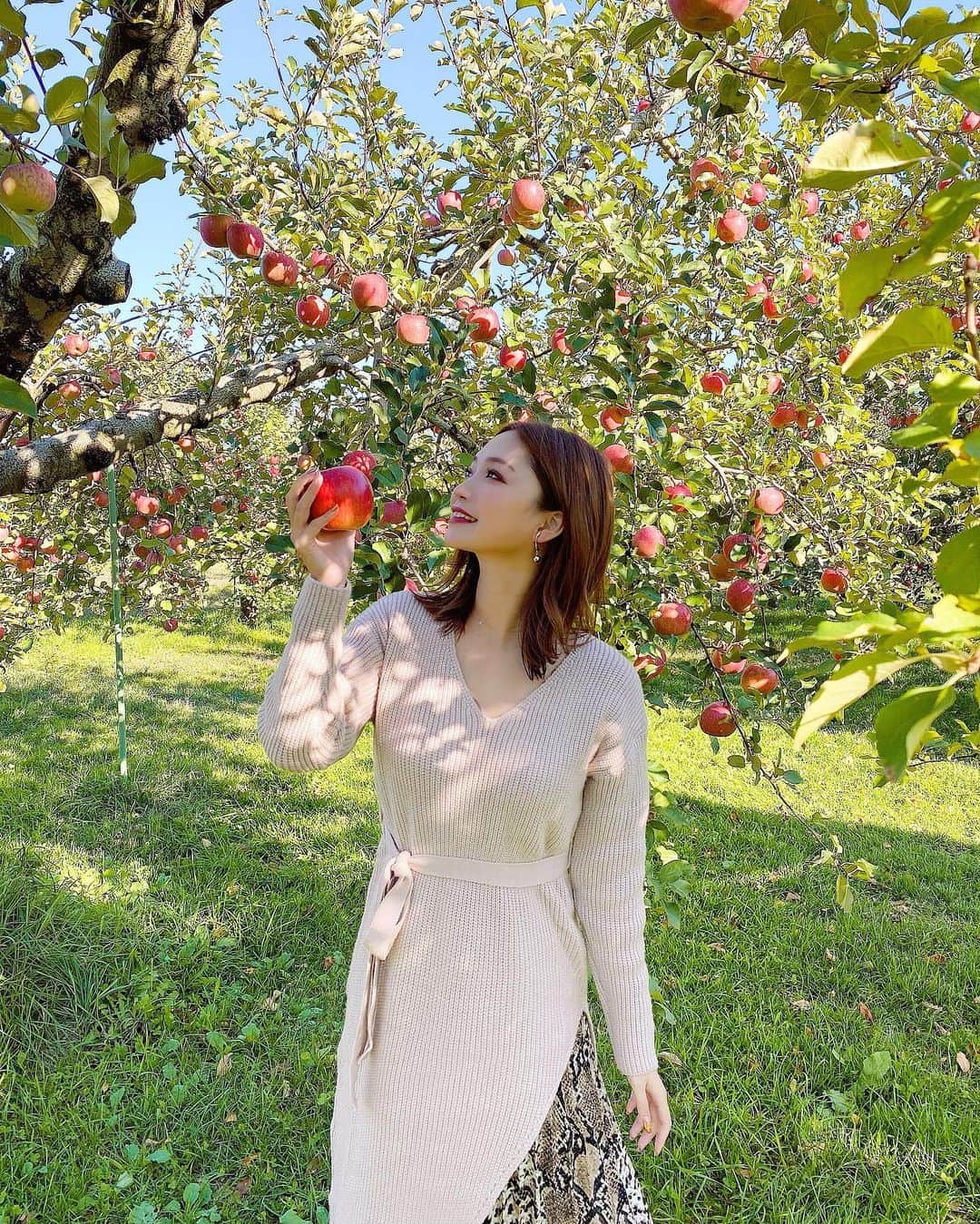 YUKIKOさんのインスタグラム写真 - (YUKIKOInstagram)「. 長野にて🍎 りんご狩りもできて、BBQもできるところへ 行ってきたよー🍖 📍フルーツガーデン北沢 . さんさん黒豚美味しかったし りんごはとっても甘かった😻✨ 今の時期は2種類のりんごを食べ比べ出来たよ💗 シナノゴールド🍏とシナノクイーン🍎 クイーン派だった🤤 . この日のコーデは ピンクのニット🧶 イレヘムデザインやでプリーツスカートと あわせてみた💟 ニットは @fifth_store ✨ スカートは去年買ったshoplist🥳 日差し暖かくてニット一枚で大丈夫やった💕 . #コーデ #長野 #長野旅行 #りんご狩り #BBQ #フルーツガーデン北沢 #ワンピースコーデ #フィフス #Vネックイレヘムニットワンピース #code #coordinate #fifth #fifthtl #applepicking」10月29日 20時09分 - 128yukinco
