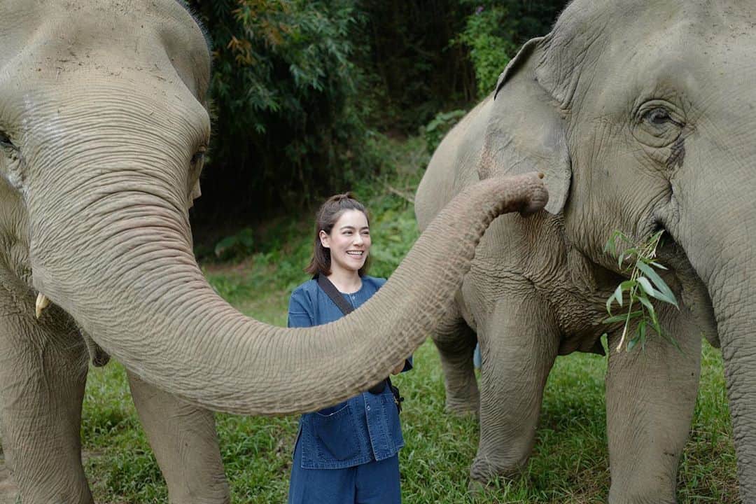 キンバリー・アン・ウォーテマス・ティアムシリのインスタグラム：「ยิ้มงงในดงช้าง 🐘」