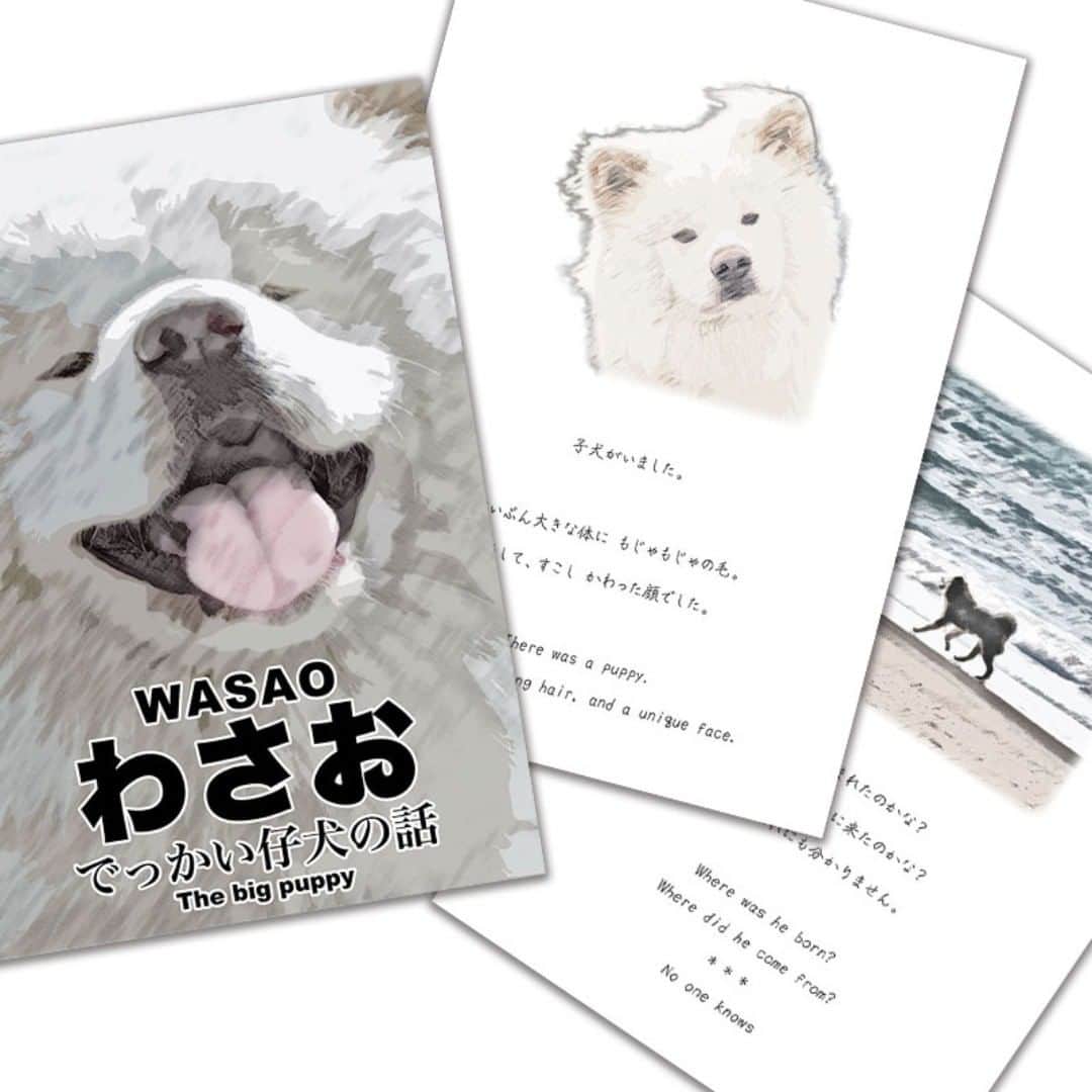 のインスタグラム：「All profits made from a book (PDF) will be used for the creation of the Wasao Memorial.  この絵本（PDF)の利益は全て「わさお記念碑」制作のために使用されます。  https://thanks.wasao.com/products/」
