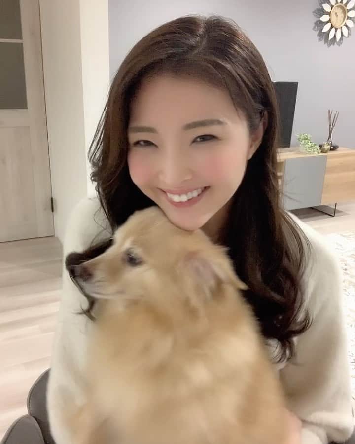 のインスタグラム：「.  🎉🎉お知らせ🎉🎉 . ☘明後日、10/31（土）20時〜 YouTubeで生配信します！☘ . 〝誕生日なのに、自宅で一人焼肉する女〟  ゆるーい感じなので、みんなと会話しながら 一緒にご飯食べながらとか😋 . 遊びにきてくれたら嬉しいです♪ガォォ！ . . #まりもんチャンネル #生配信するよー！ #10月31ハロウィンは #私の誕生日🎂🎊 #一人焼肉 #うまうまマンボウ #牛タン絶対食べよう #みんな遊びにきてねー＼(^o^)／ #ガォォ！」