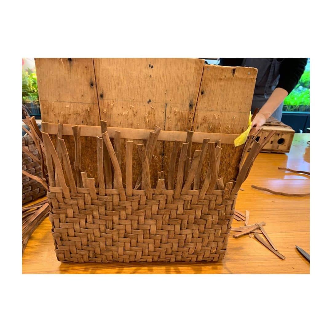 はなさんのインスタグラム写真 - (はなInstagram)「3日間かけて漸く、山葡萄のカゴを完成させました(๑˃̵ᴗ˂̵) 親子三代まで楽しめるそうで、使い続けるとツヤッツヤになるんですって。頑張って作ったカゴですもの、おばあちゃんになっても使い続けます(⁎⁍̴̆Ɛ⁍̴̆⁎)余裕の笑顔の裏には努力あり。２枚目からは脳内でロッキーのテーマ曲を再生しながらお楽しみくださいᕦ(ò_óˇ)ᕤ #山葡萄 #工房kago #teamfiona」10月29日 20時46分 - hanalovestaco