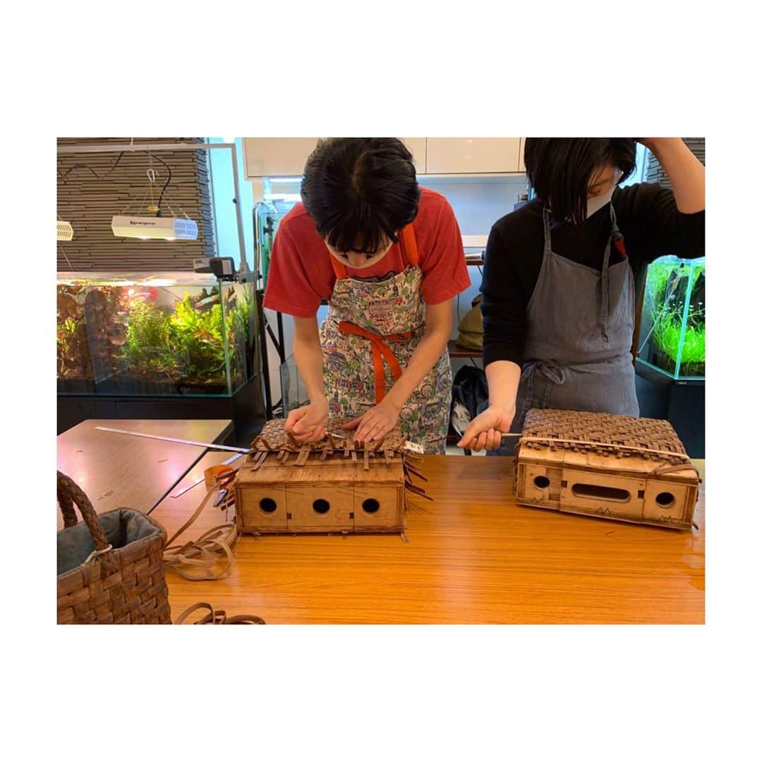 はなさんのインスタグラム写真 - (はなInstagram)「3日間かけて漸く、山葡萄のカゴを完成させました(๑˃̵ᴗ˂̵) 親子三代まで楽しめるそうで、使い続けるとツヤッツヤになるんですって。頑張って作ったカゴですもの、おばあちゃんになっても使い続けます(⁎⁍̴̆Ɛ⁍̴̆⁎)余裕の笑顔の裏には努力あり。２枚目からは脳内でロッキーのテーマ曲を再生しながらお楽しみくださいᕦ(ò_óˇ)ᕤ #山葡萄 #工房kago #teamfiona」10月29日 20時46分 - hanalovestaco