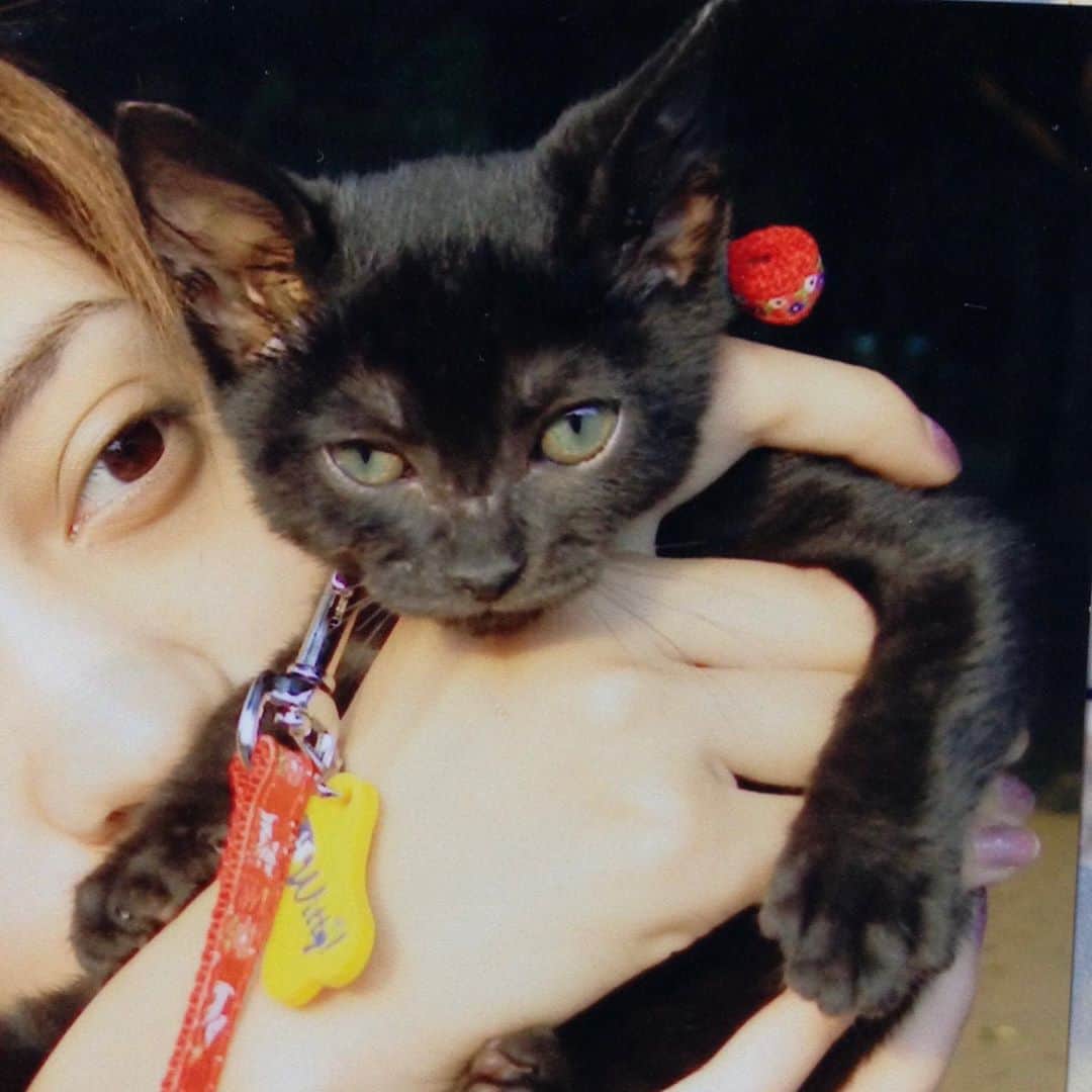 英玲奈のインスタグラム：「#影虎様 小さい時の写真もありました。 良く一緒にお散歩行ったなぁ。 16年前。 喧嘩もしたけど、もう、今では 2人で一つ。 入院する時、離れるの寂しいなぁ。 最近ずっと一緒にいるから離れがたい。」