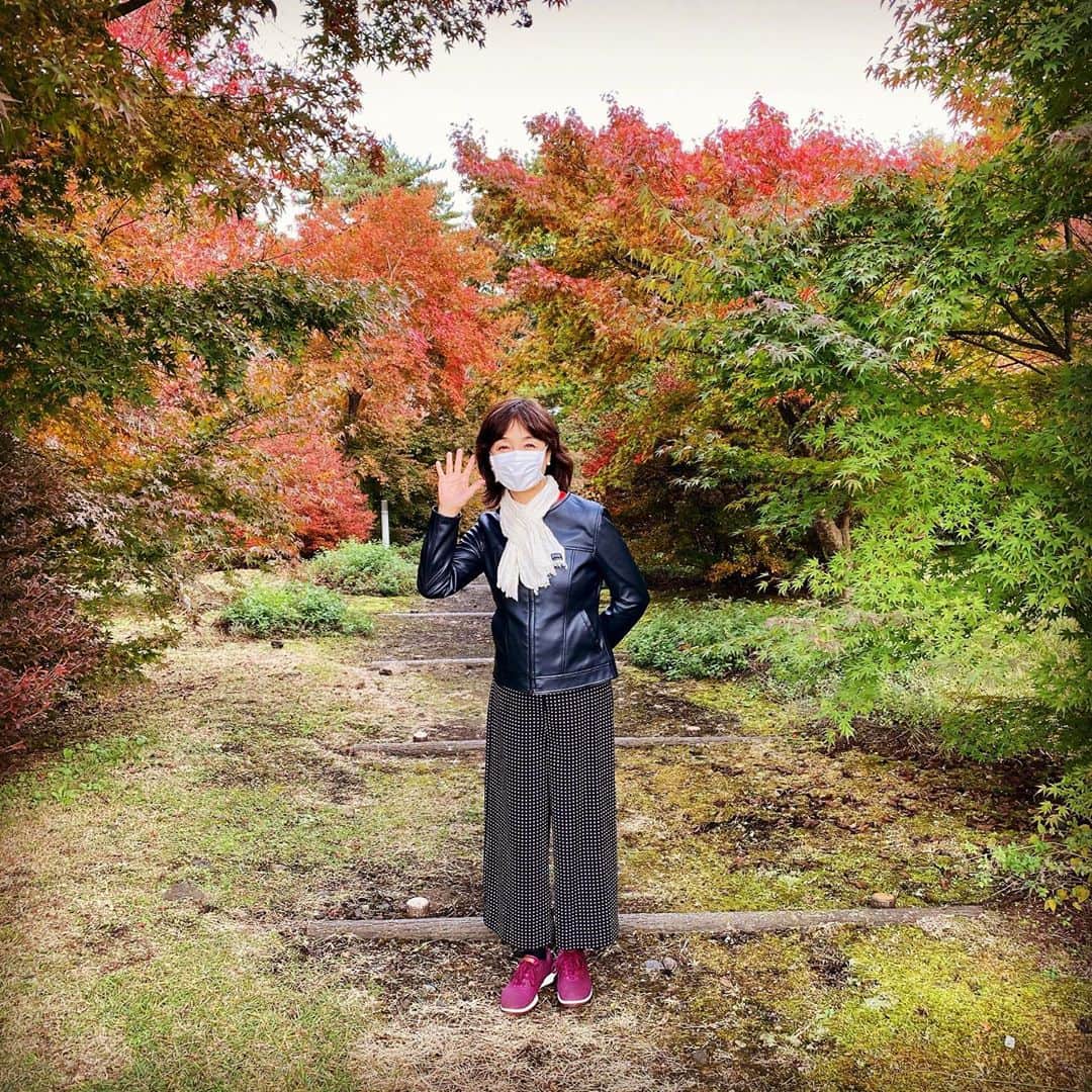 日髙のり子のインスタグラム：「＊＊＊﻿ 久しぶりのプチ旅です。﻿ ﻿ 紅葉がとても綺麗で癒されました🍁 ハァ〜🥰﻿ ﻿ しかも！温泉三昧！♨️﻿ お肌にもペチペチしましたよ。﻿ 温泉の恵みがお肌にもあらわれますように✨  #紅葉 #旅 #プチ旅行 #温泉 #自然 #癒し #深呼吸 #リフレッシュ #綺麗な景色 #🍁 #♨️」