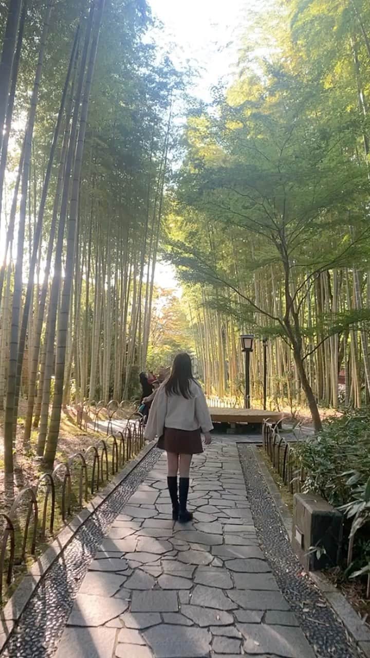 我妻美月のインスタグラム：「初りーる🥣🥣 #リール#伊豆#伊豆旅行#修善寺#伊豆の国パノラマパーク #富士見テラス#彼女感#彼女とデートなうに使っていいよ #ぼっちですがなにか #大学生コーデ #大学2年生 #栄養学生」