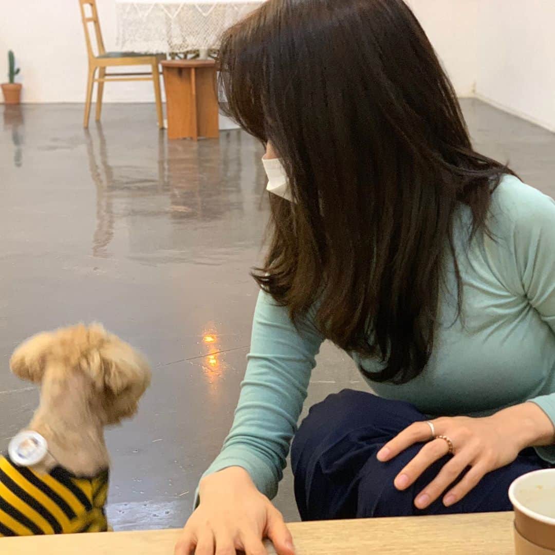 ウォン・ジナのインスタグラム