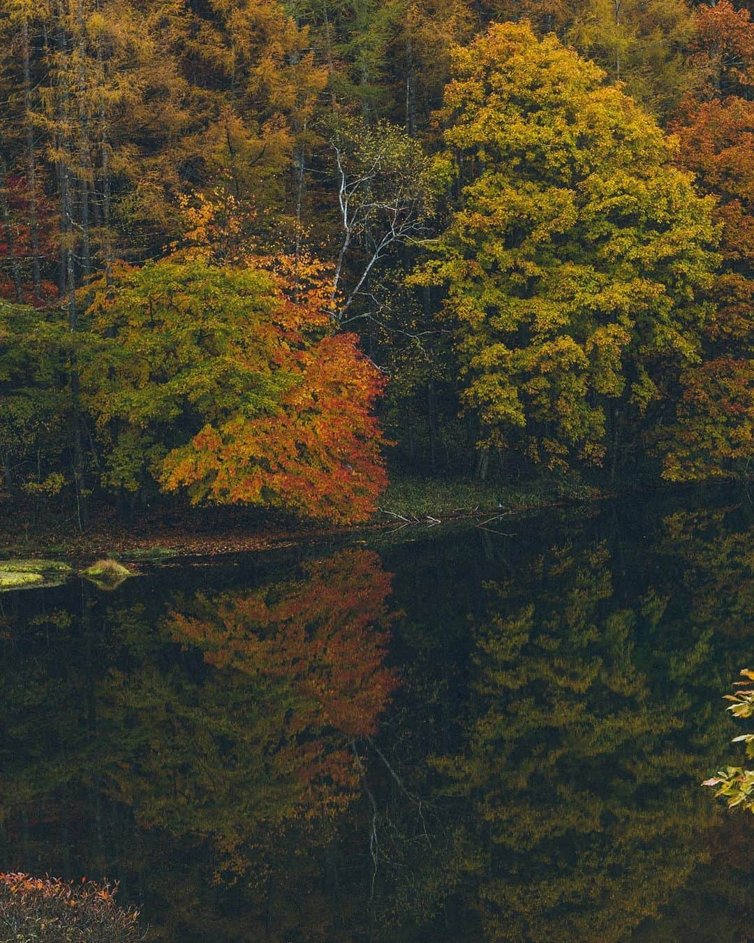 Yuma Yamashitaさんのインスタグラム写真 - (Yuma YamashitaInstagram)「Hidden natural jewel located in Nagano #inspirationcultmag #hellofrom Nagano prefecture」10月29日 21時30分 - yuma1983