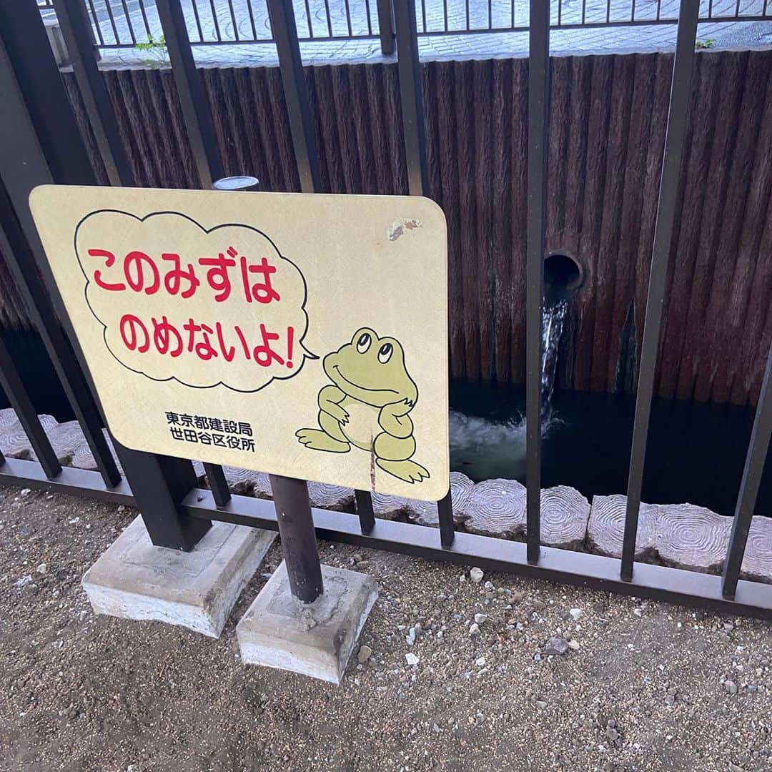 松井ケムリのインスタグラム：「飲まねえよ #水 #カエル」