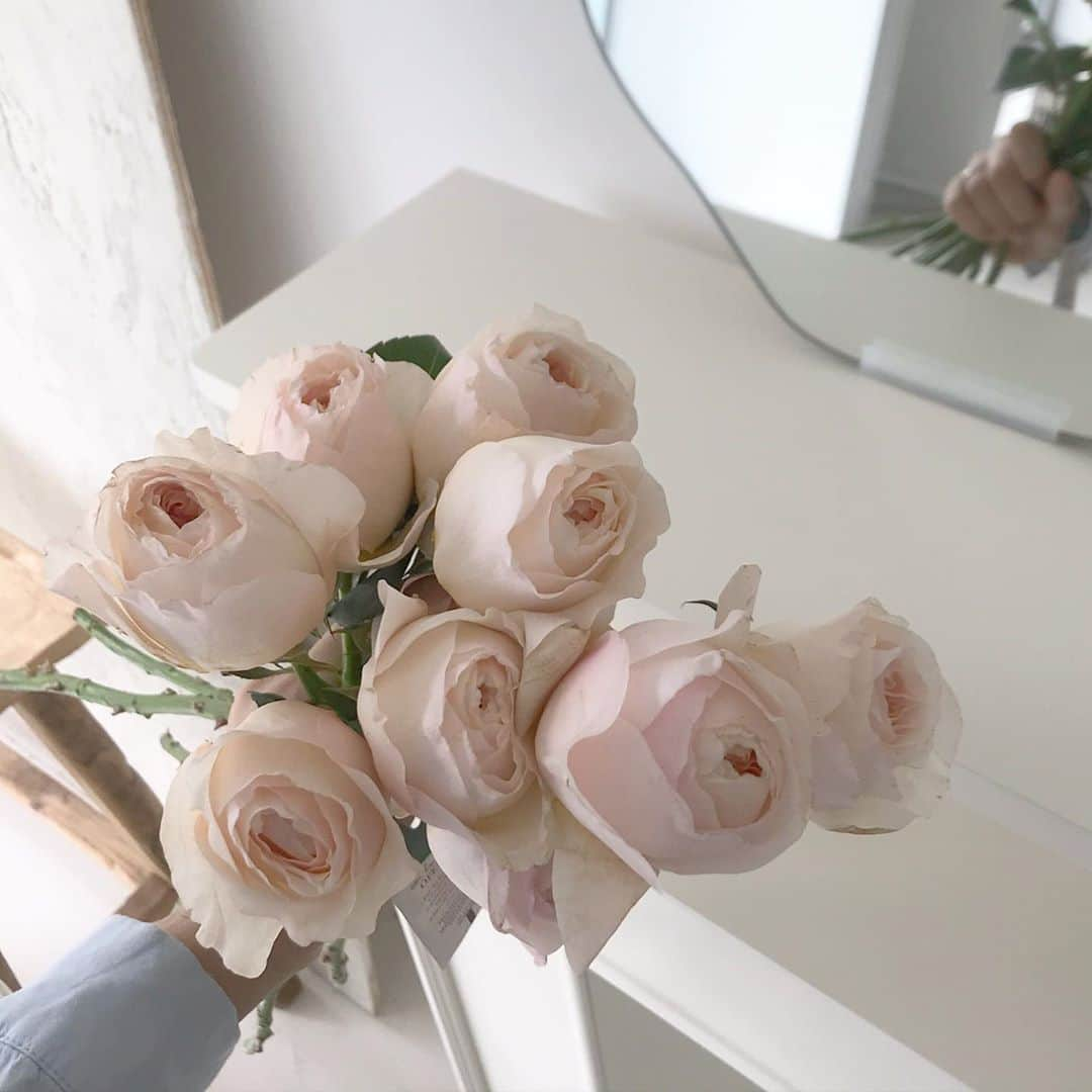 플로리스트 이주연 florist Lee Ju Yeonさんのインスタグラム写真 - (플로리스트 이주연 florist Lee Ju YeonInstagram)「. . 청초한 줄리엣 🤍 . #줄리엣로즈 #줄리엣 #rose  . 订花 WeChat ID vaness_flower 페이팔 결제 가능  클래스상시모집 당일꽃주문가능 . #수업문의 #주문예약 #lesson #Order  Katalk ID vaness52 WeChat ID vaness_flower E-mail vanessflower@naver.com . 서초구 양재천로 123 5층 📞02-545-6813 . #vanessflower #florist #flowershop #handtied #flowerlesson #花束 #바네스플라워 #플로리스트 #꽃다발 #부케 #플로리스트학원 #플라워레슨 #양재동꽃집 #양재역꽃집 #꽃다발주문 #꽃수업 #꽃주문  #대관 #공간대여 #스튜디오대관 #자연광스튜디오 #자연광스튜디오대관 #스튜디오」10月29日 21時34分 - vanessflower