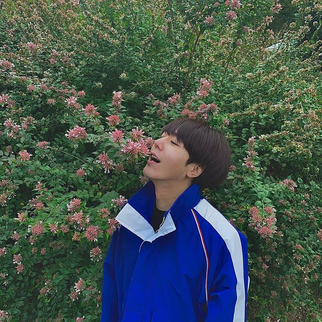 シンバのインスタグラム：「👤」