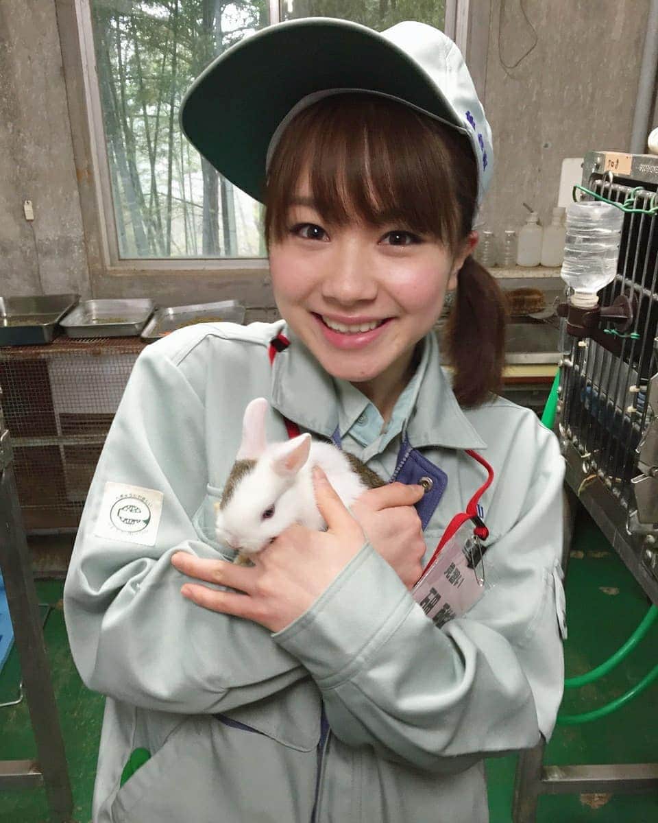 石田亜佑美さんのインスタグラム写真 - (石田亜佑美Instagram)「#八木山動物公園 . . 2015年の写真！照 . . 着ぐるみうさぎ投稿に続きまして、 本物のうさぎさんを投稿です🐰 . 一緒にラクダとの写真も……🐫笑 . . これはレギュラー出演させていただいてる、仙台放送「あらあらかしこ」で、飼育員見習いをやった時の写真です！2015年4月25日放送でした、懐かし . 今週末(31日)も出演するので、お楽しみに . . #うさぎ #🐰 #ラクダ #🐪 #🐫  #至近距離の迫力 #小動物 #かわいいよなぁ… #動物園 #飼育員 #仙台 #宮城 #仙台放送 #あらあらかしこ #morningmusume20 #モーニング娘20 #石田亜佑美 #memories #photo」10月29日 21時40分 - ayumi_ishida.official