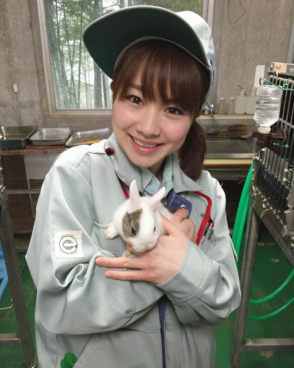 石田亜佑美さんのインスタグラム写真 - (石田亜佑美Instagram)「#八木山動物公園 . . 2015年の写真！照 . . 着ぐるみうさぎ投稿に続きまして、 本物のうさぎさんを投稿です🐰 . 一緒にラクダとの写真も……🐫笑 . . これはレギュラー出演させていただいてる、仙台放送「あらあらかしこ」で、飼育員見習いをやった時の写真です！2015年4月25日放送でした、懐かし . 今週末(31日)も出演するので、お楽しみに . . #うさぎ #🐰 #ラクダ #🐪 #🐫  #至近距離の迫力 #小動物 #かわいいよなぁ… #動物園 #飼育員 #仙台 #宮城 #仙台放送 #あらあらかしこ #morningmusume20 #モーニング娘20 #石田亜佑美 #memories #photo」10月29日 21時40分 - ayumi_ishida.official