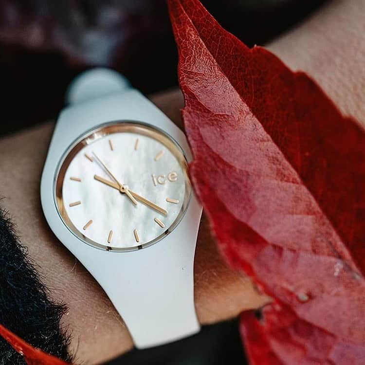 アイスウォッチさんのインスタグラム写真 - (アイスウォッチInstagram)「You will love those shimmering pearly dials 💫 (📸 @kiamisu_) #icewatch #changeyoucan #icepearl  #pearl #love #chill #cocooning #autumn #leaf #watch」10月29日 21時50分 - icewatch