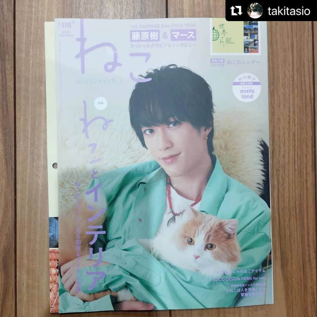 ねこさんのインスタグラム写真 - (ねこInstagram)「@takitasio さん、ありがとうございますっ😊感謝っ🙏❤️ またかわゆいショットお待ちしてますねぇ〜✨ #Repost @takitasio with @make_repost ・・・ 雑誌ねこ2020年11月号No.116  ロランさん掲載！！ 本屋さんいったら残り2冊で 焦って２冊買占め （掲載された写真が旦那さんのおばあちゃん宅🏠なので記念のプレゼント用）  雑誌ねこさんありがとうございます！！ @neko_magazine  ねことインテリア特集ということで内容もとっても面白い 特別付録のねこカレンダー付き🐾  #雑誌ねこ116号#ねことインテリア#ロランさん雑誌載りました#雑誌ねこさんありがとうございます」10月29日 21時50分 - neko_magazine