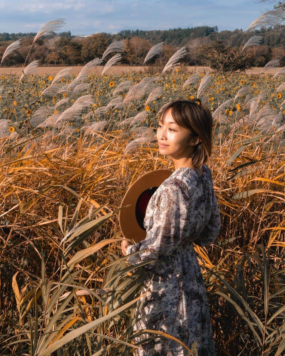 近藤あやさんのインスタグラム写真 - (近藤あやInstagram)「⠀ 秋の四重奏🌾🌻🍂⛰  秋のすすきの向こう側に、 まさかのひまわり満開…！！！  こんな景色があるなんて知らなかった🍁  #hokkaido #北海道 #バンライフ #vanlife #車中泊 #japan #Autumn #秋」10月29日 22時03分 - doraemontoaya