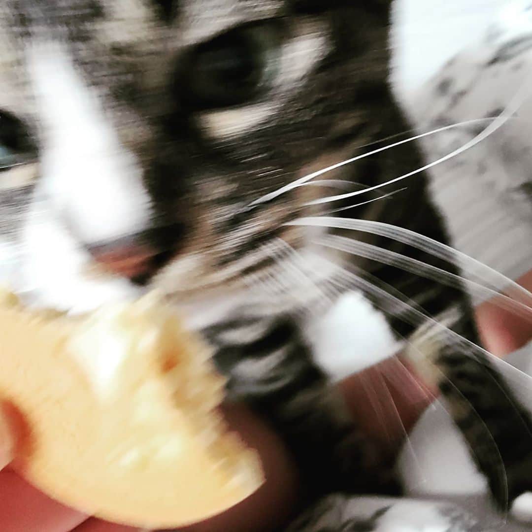 ファン・ソヒさんのインスタグラム写真 - (ファン・ソヒInstagram)「내꺼야 임마」10月29日 21時57分 - sohhee_h
