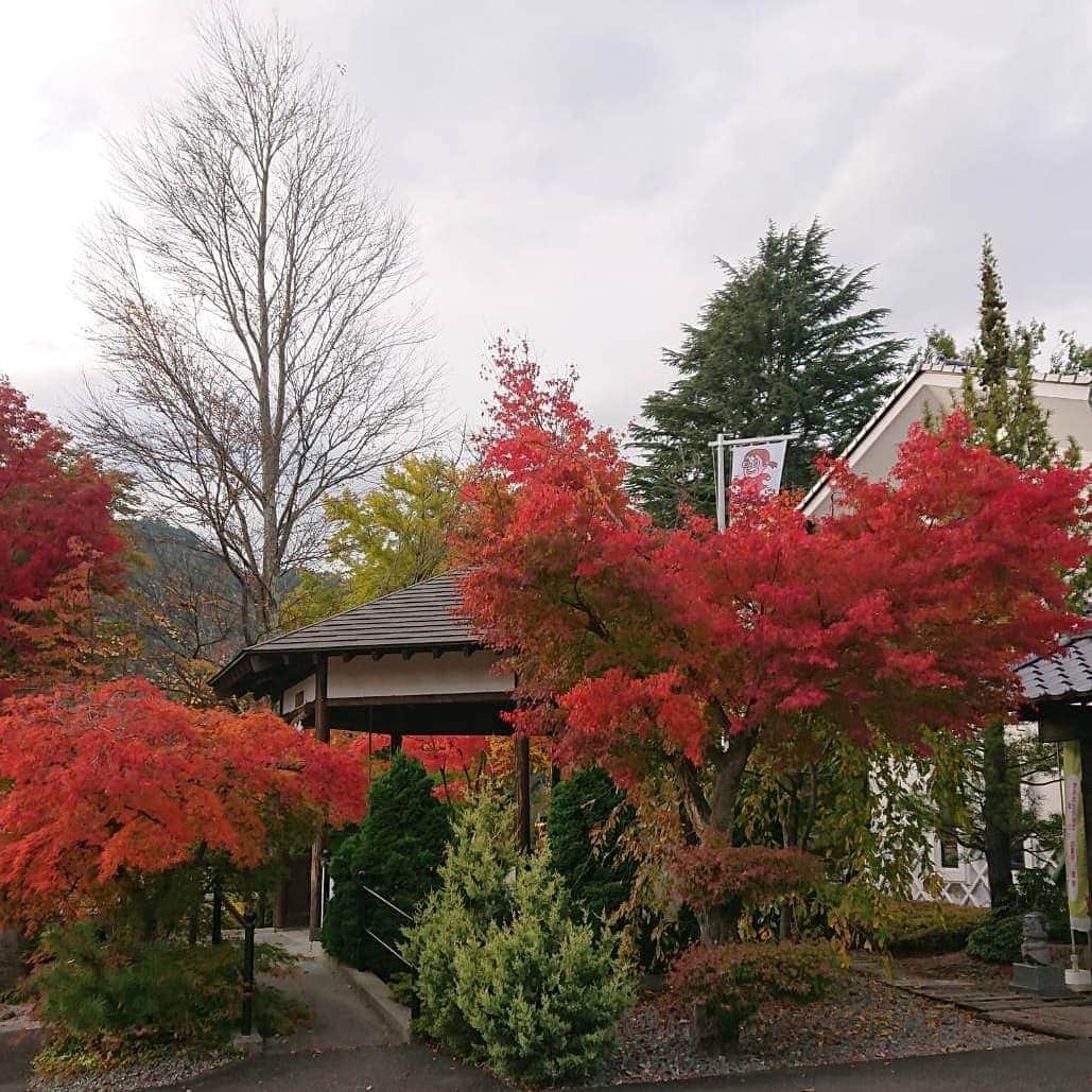 綾小路きみまろさんのインスタグラム写真 - (綾小路きみまろInstagram)「こんばんは。 綾小路きみまろです。  河口湖の紅葉🍁 真っ赤に色づいてきました～🎶 富士山🗻とのコントラスト。 最高ですね❗  #河口湖 の私のショップ🏠 #るりびょうたん に、ぜひ #紅葉 を見にいらして下さいね！  #富士山 #きみまろ茶や #きみまろ茶やからの富士山ビュー」10月29日 22時04分 - ayanokojikimimaro_official