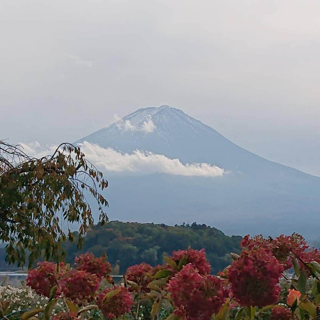 綾小路きみまろさんのインスタグラム写真 - (綾小路きみまろInstagram)「こんばんは。 綾小路きみまろです。  河口湖の紅葉🍁 真っ赤に色づいてきました～🎶 富士山🗻とのコントラスト。 最高ですね❗  #河口湖 の私のショップ🏠 #るりびょうたん に、ぜひ #紅葉 を見にいらして下さいね！  #富士山 #きみまろ茶や #きみまろ茶やからの富士山ビュー」10月29日 22時04分 - ayanokojikimimaro_official