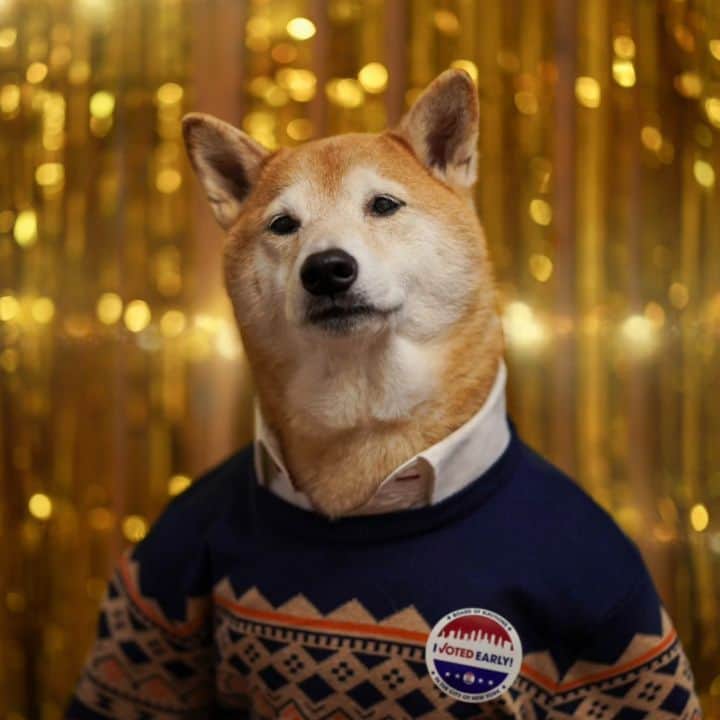 Menswear Dogのインスタグラム：「I am once again asking you for your voting support 🙏  Check link in stories to verify your state's voting options and deadlines  If you can, please vote in person safely as soon as possible   #IVotedEarly #Vote2020 #BidenHarris2020」