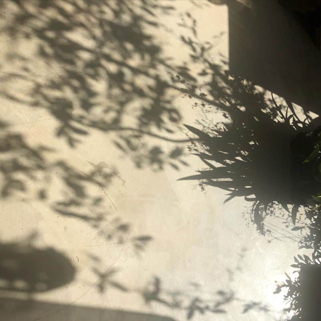 플로리스트 김애진(케이라플레르)さんのインスタグラム写真 - (플로리스트 김애진(케이라플레르)Instagram)「순식간에 지나가버린 하루, 이제야 인스타를 켜봅니다🤎」10月29日 22時16分 - keirafleur