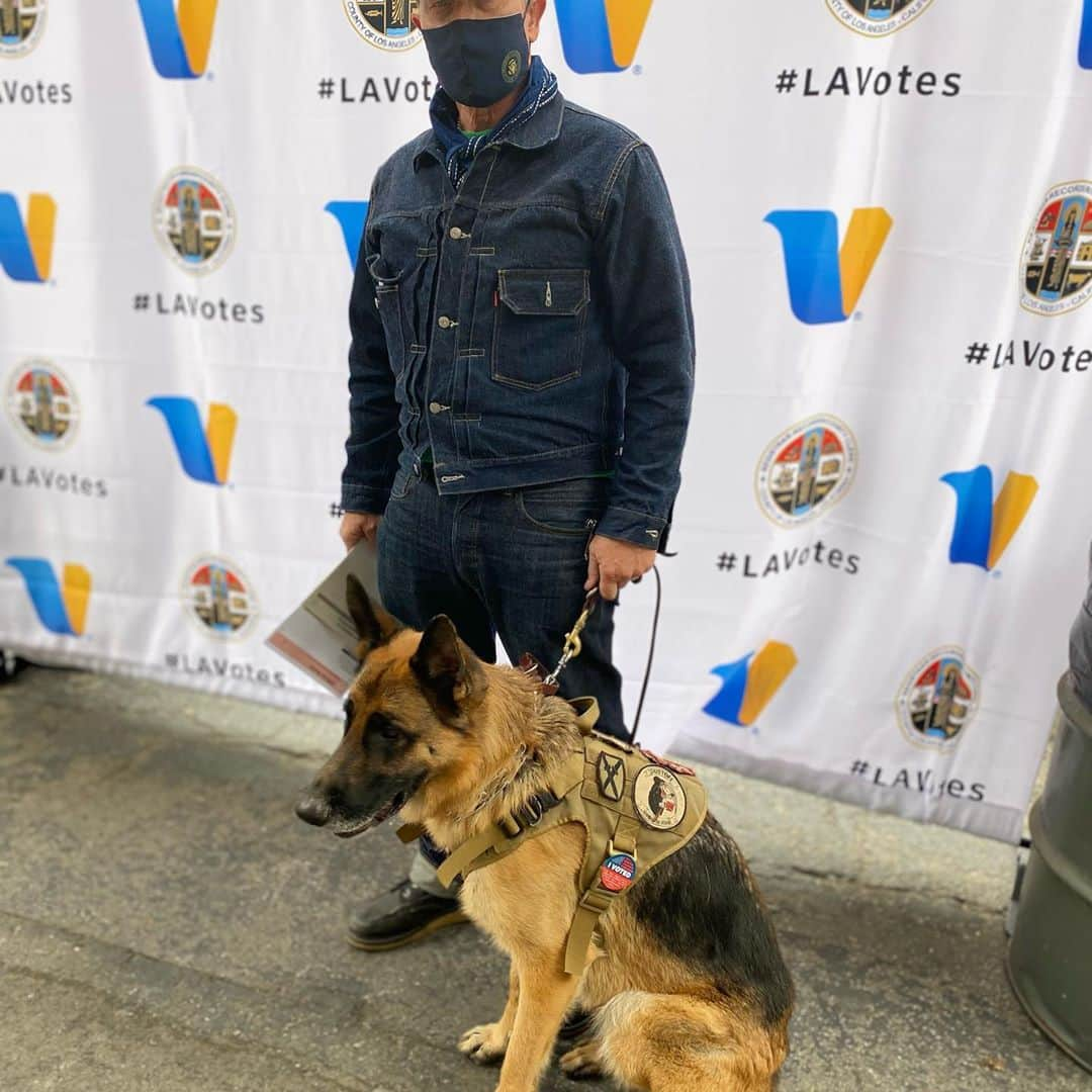 ロバート・パトリックさんのインスタグラム写真 - (ロバート・パトリックInstagram)「My co- pilot and best friend “Blitz” hanging out this week at the shop. New boots available at @santaclaritaharley voting and the @monsivaisco hat! #dog #dogs #vote #harleydavidson #denim #ride#germanshepherd #germanshepherdsofinstagram #germanshepherds #lavotes」10月29日 22時39分 - ripfighter