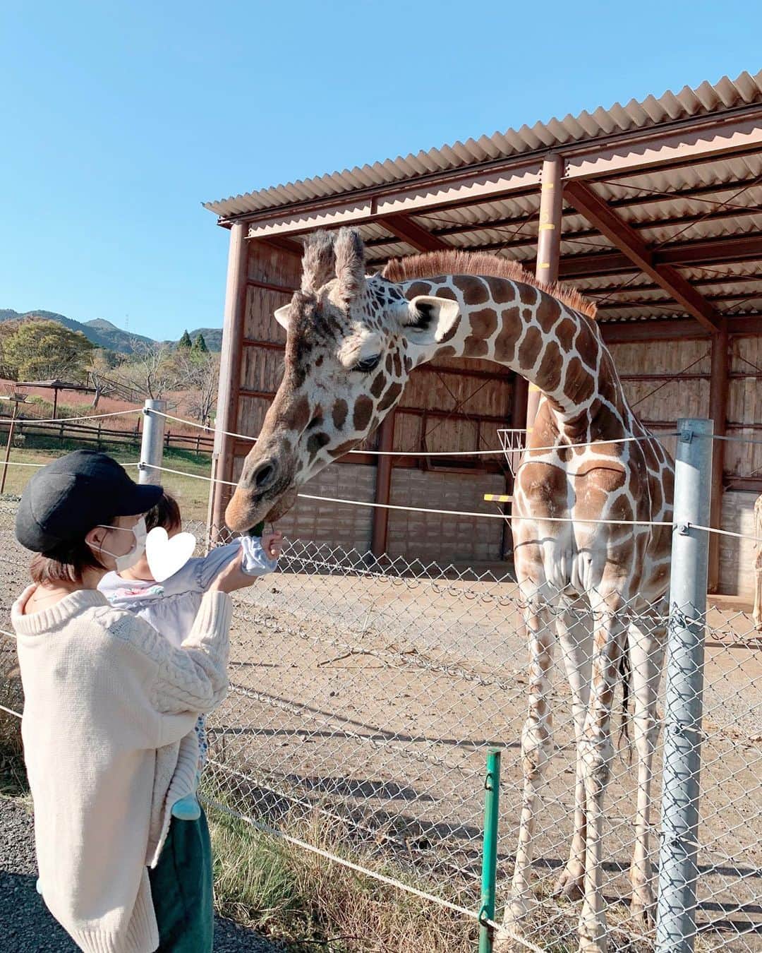 Remiのグルメインスタ