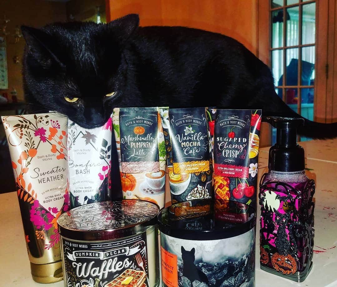 Bath & Body Worksさんのインスタグラム写真 - (Bath & Body WorksInstagram)「No superstitions here — kittens are smitten with all things Bath & Body Works 😉Head to Stories to treat yourself to more #NationalCatDay cuteness!」10月29日 23時00分 - bathandbodyworks