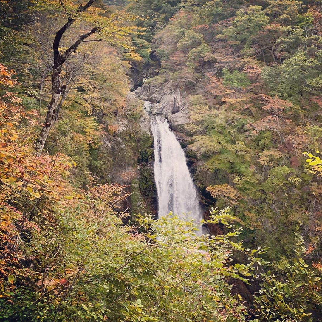 のインスタグラム：「秋保温泉の旅♨️  #otekomachi #大手小町 #秋保温泉 #秋保大滝 #仙台観光 #宮城観光 #宮城旅行 #宮城 #慈眼寺 #虹 #女子旅 #女子旅行 #タビジョ#タビジョと繋がりたい #tabijo #旅好き女子 #旅の記録 #旅行好きな人と繋がりたい #goto #gotoキャンペーン #gotoトラベル #tohoku」